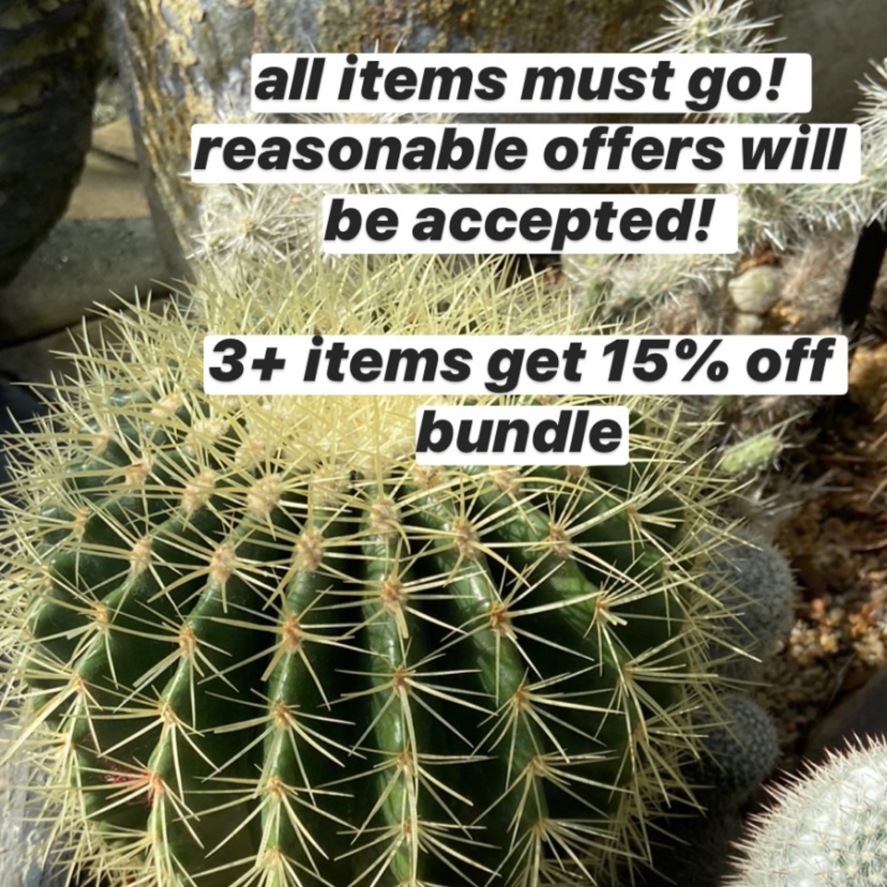🌵ALL ITEMS MUST GO!